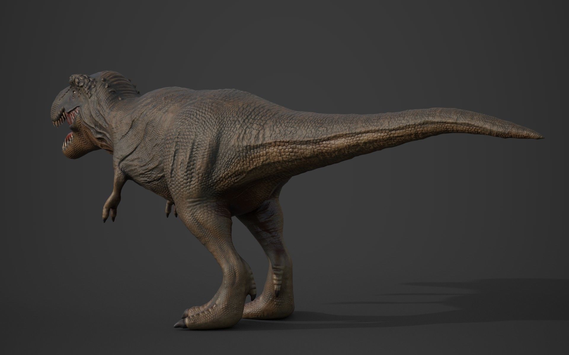 T- Rex 3d model 3D model_1