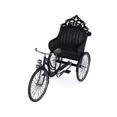 2person Classic Tricycle