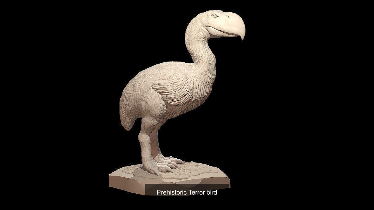 Prehistoric Animals Super Bundle x8 3D printable detailed 3D Model Collection_13