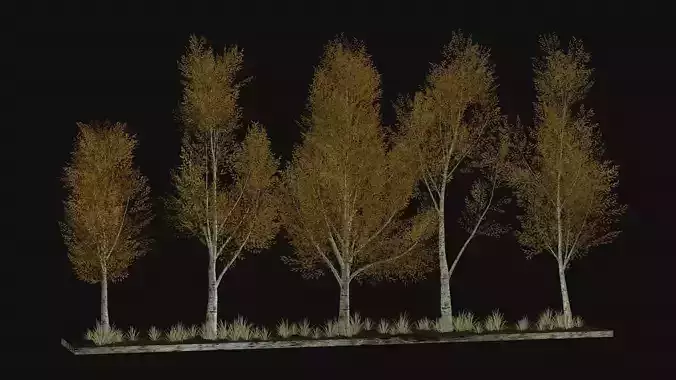 Autumn low poly trees five birches