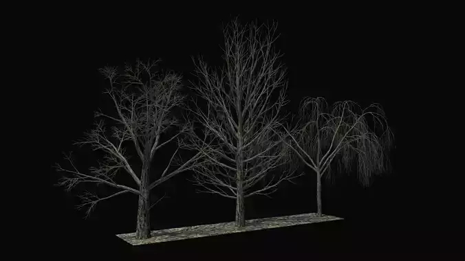 Bare trees Low-poly R3