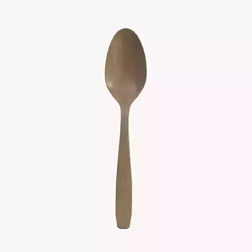 Medieval Spoon