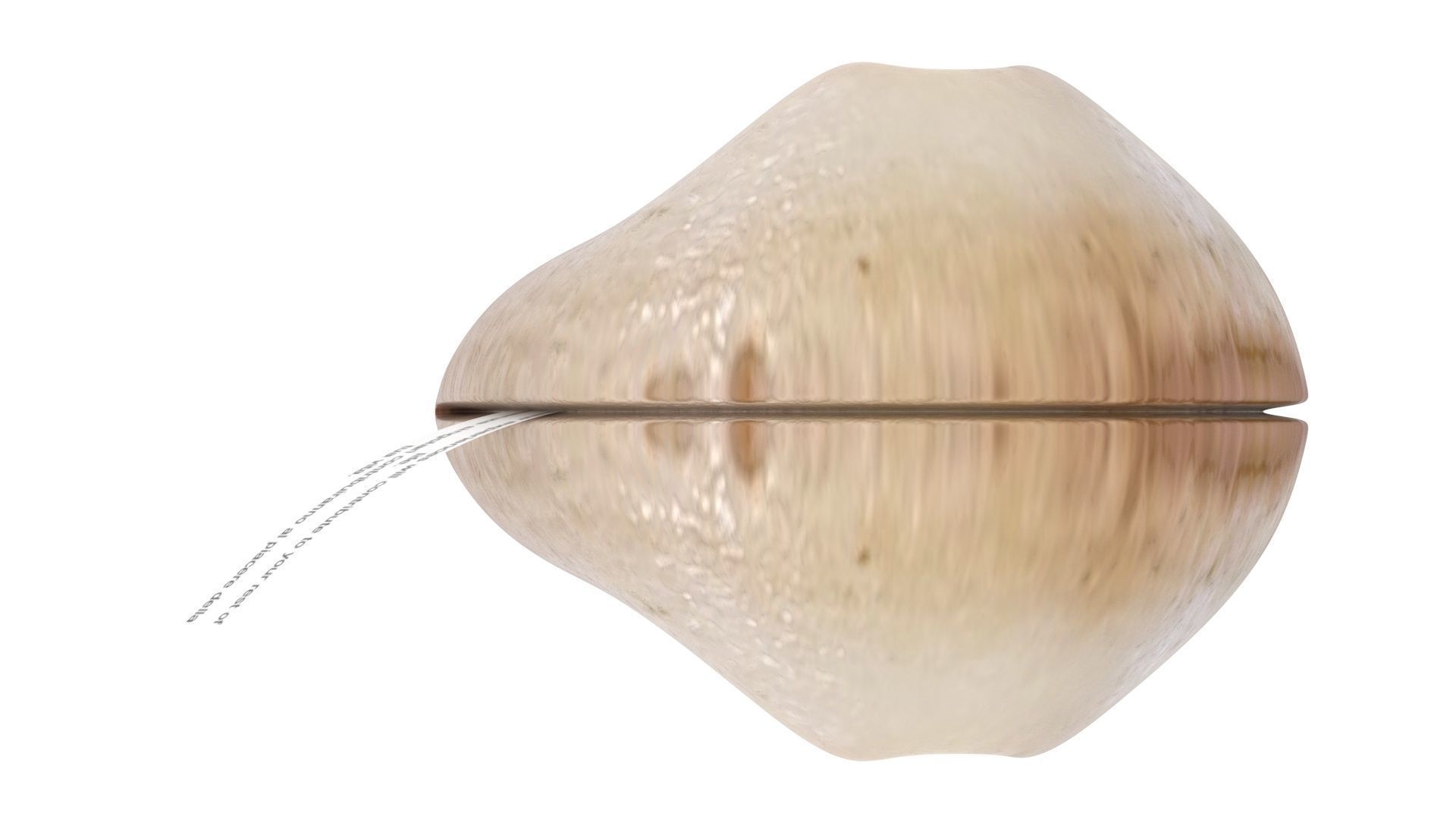 Fortune Cookie 3D model_14