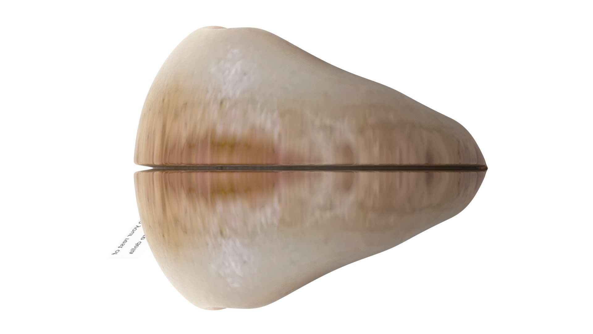 Fortune Cookie 3D model_18