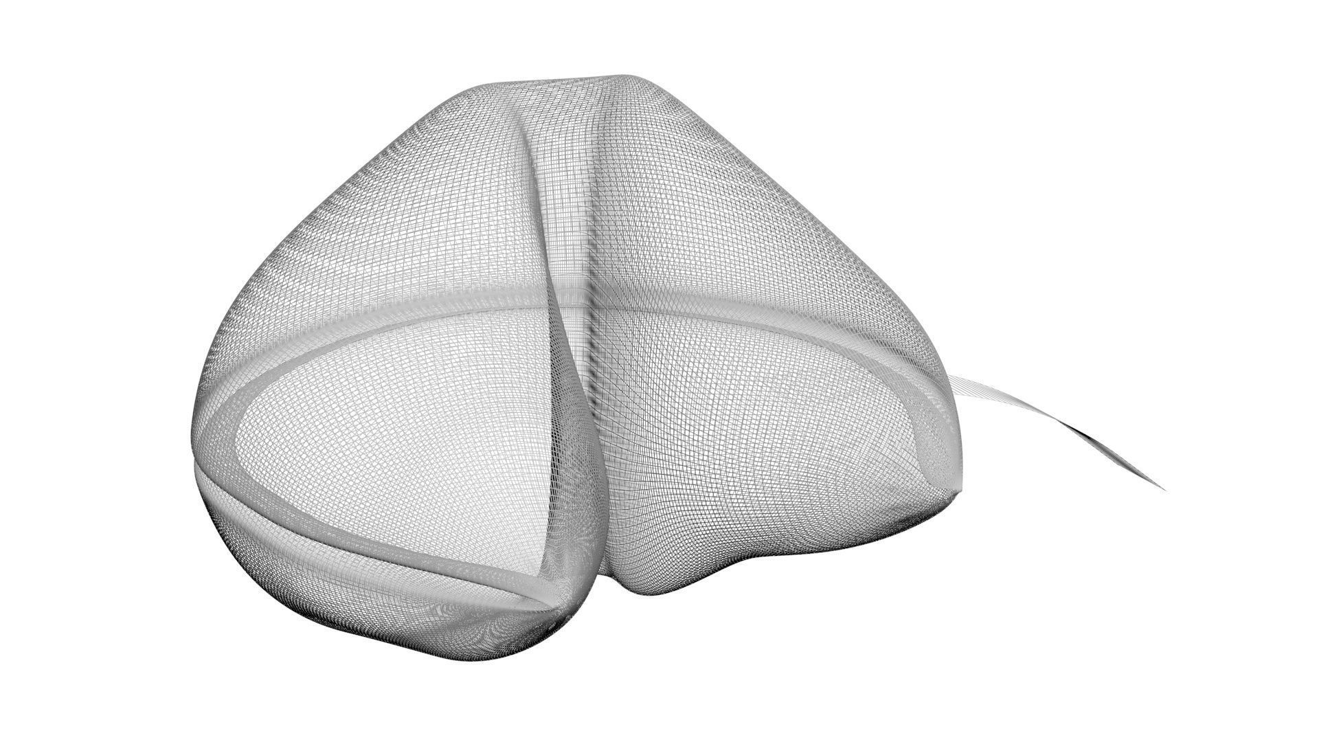 Fortune Cookie 3D model_21