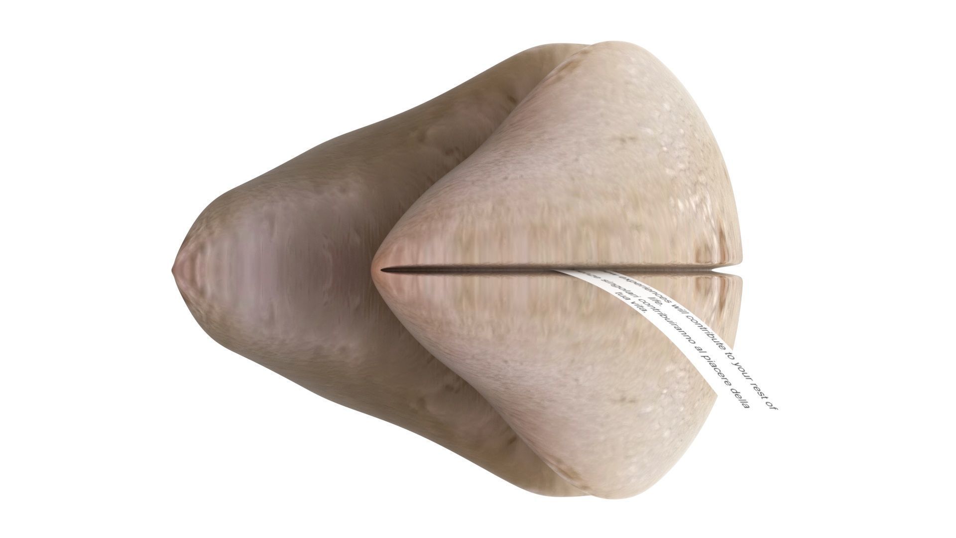 Fortune Cookie 3D model_15