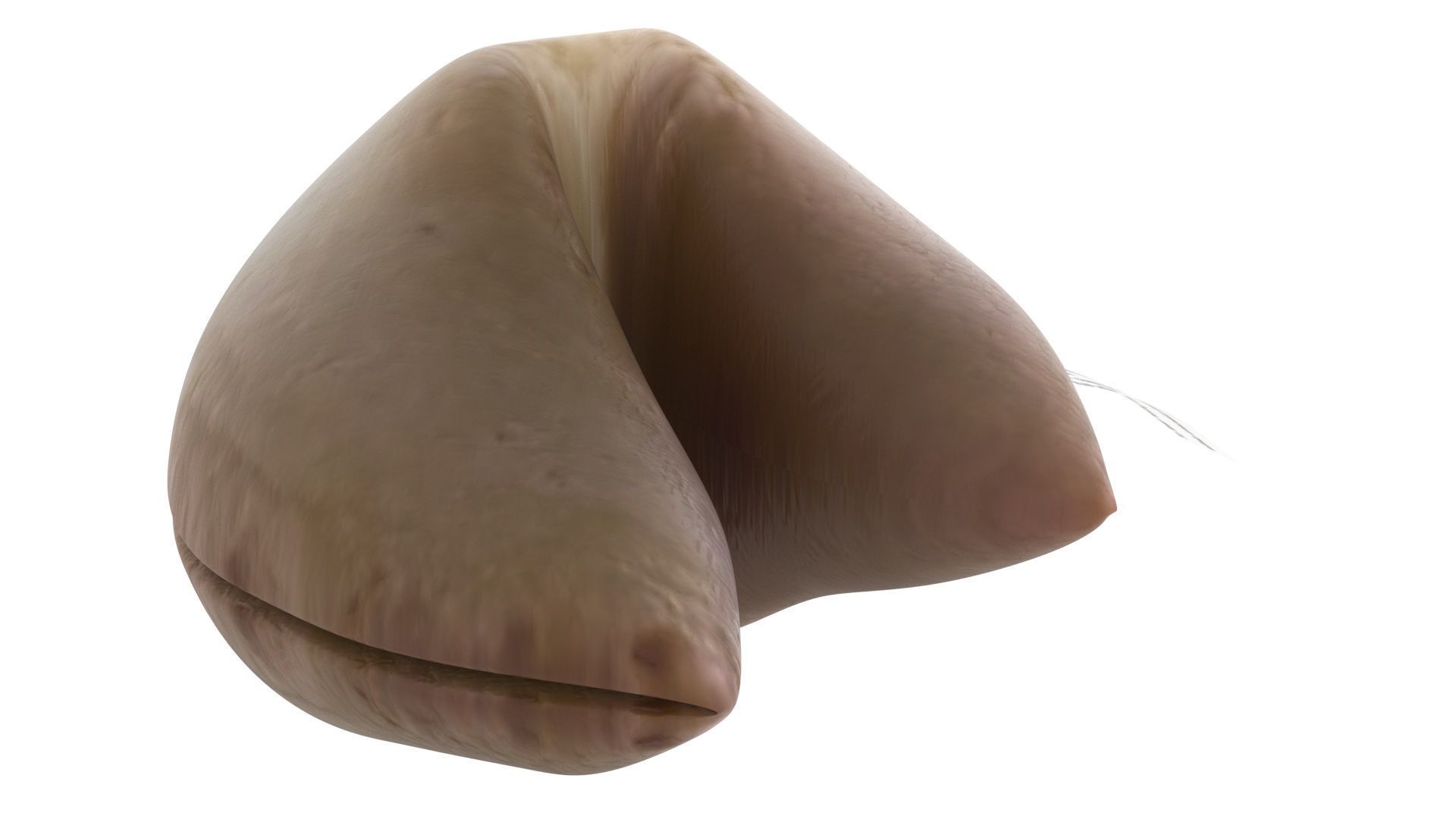 Fortune Cookie 3D model_9