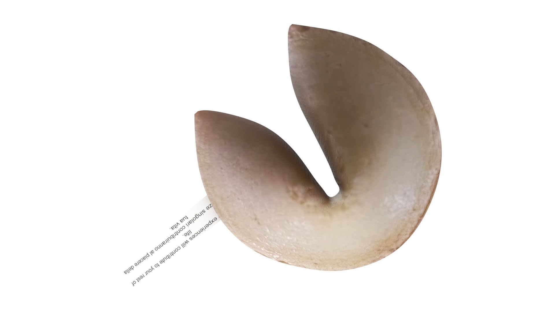 Fortune Cookie 3D model_13