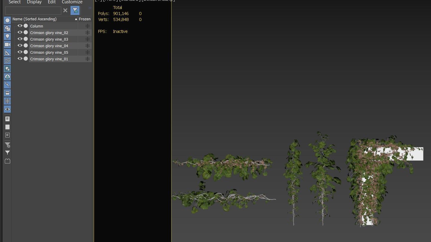 Crimson glory vine 3D model_5