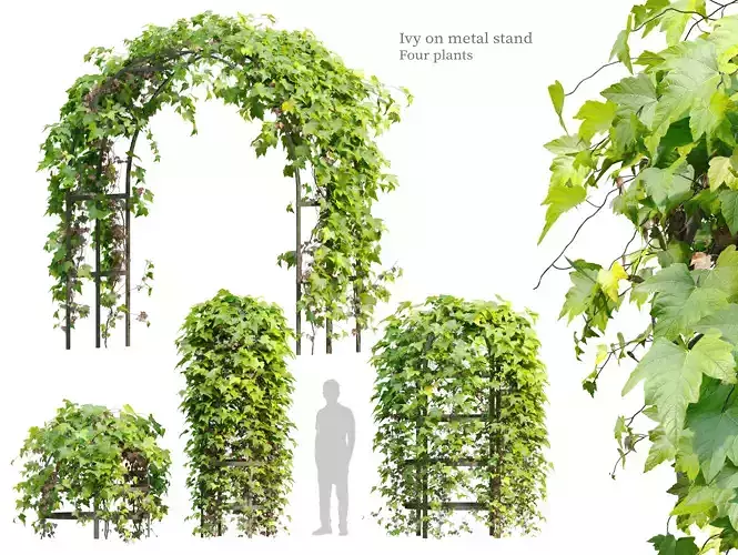 Ivy on metal stand 3D model