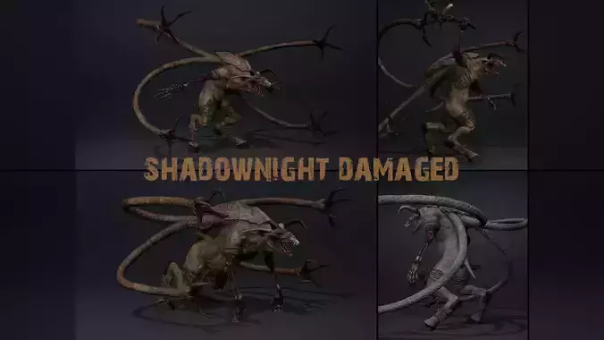 Shadownight Damaged