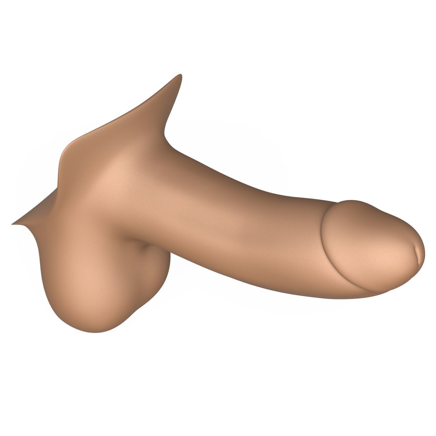 3D Print Ready Penis 3D print model_3