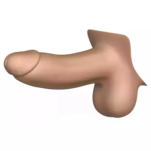 3D Print Ready Penis
