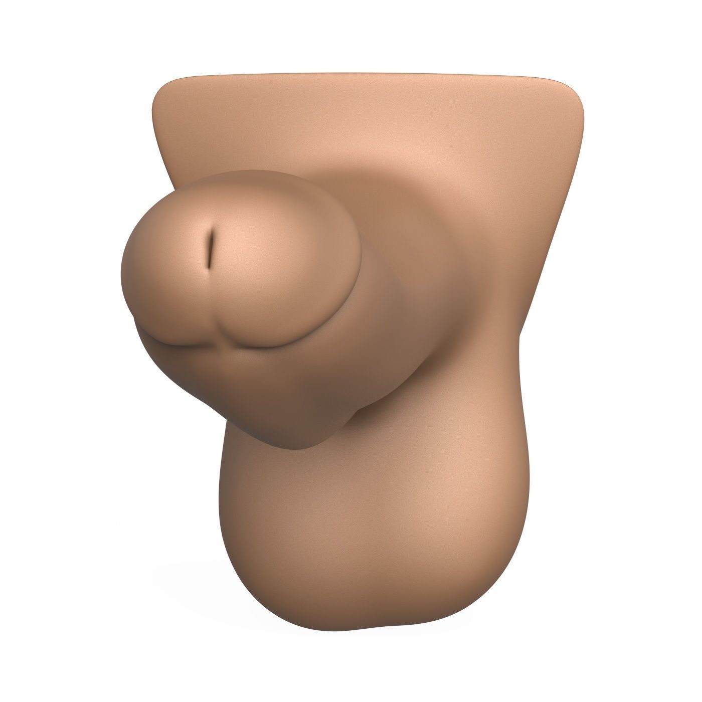 3D Print Ready Penis 3D print model_2