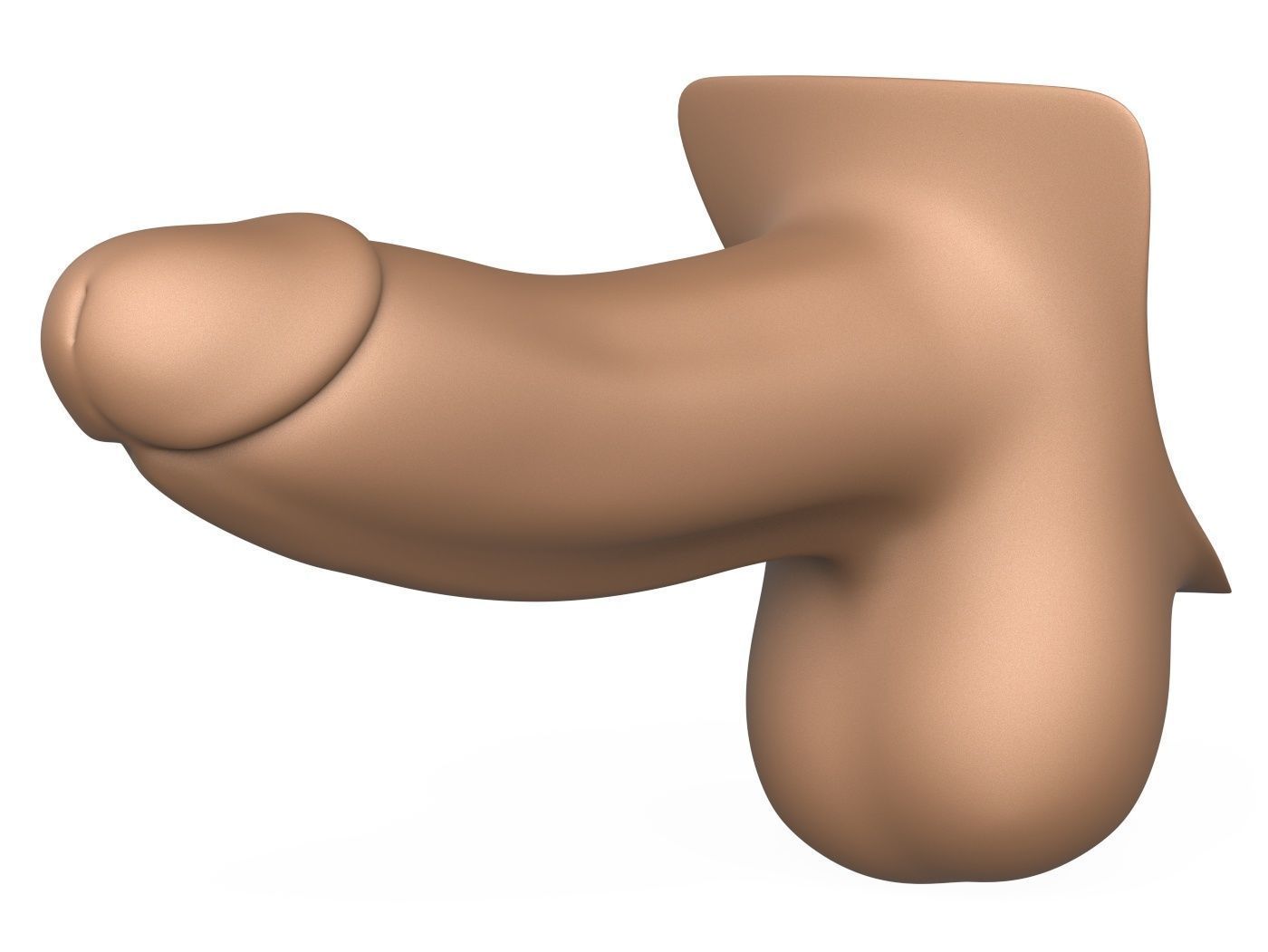 3D Print Ready Penis 3D print model_4