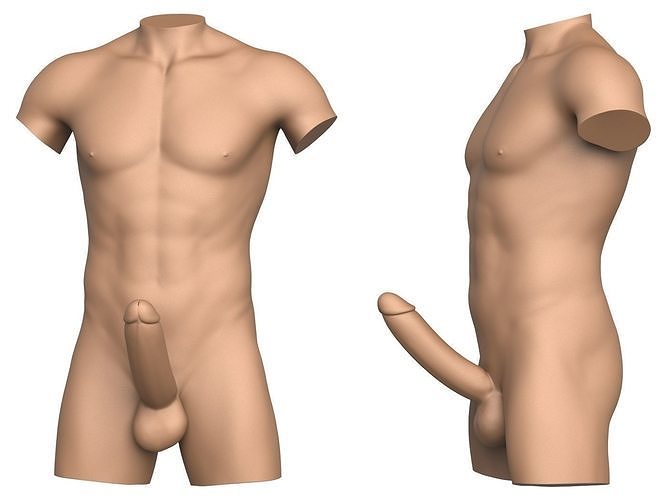 3D Print Ready Male Torso with Penis 3D print model