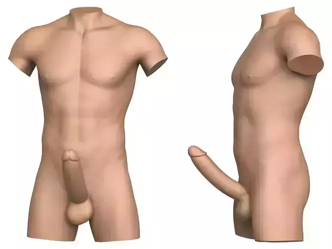 3D Print Ready Male Torso with Penis 3D print model