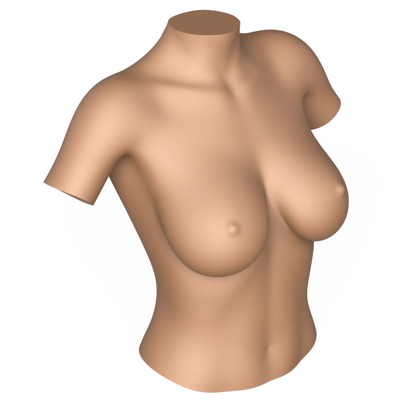 3D Print Ready Woman Breast 3D print model_4
