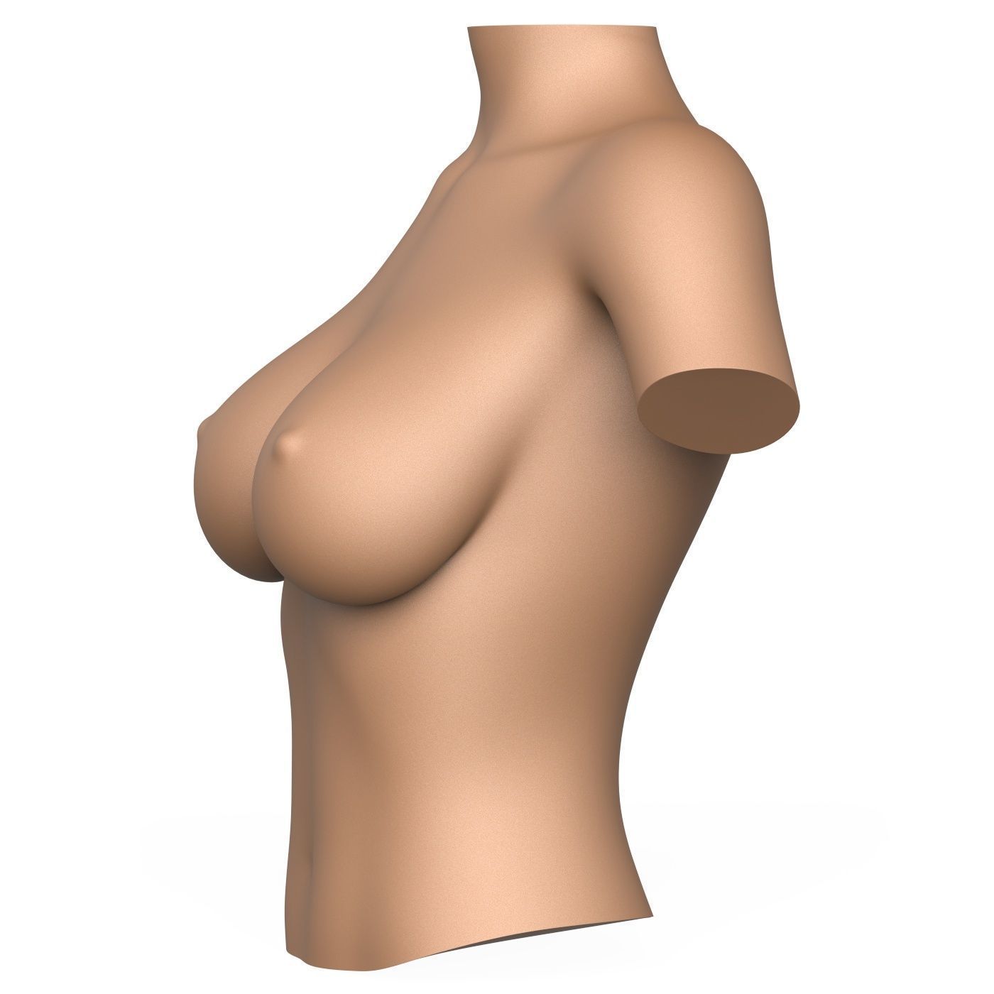 3D Print Ready Woman Breast 3D print model_2