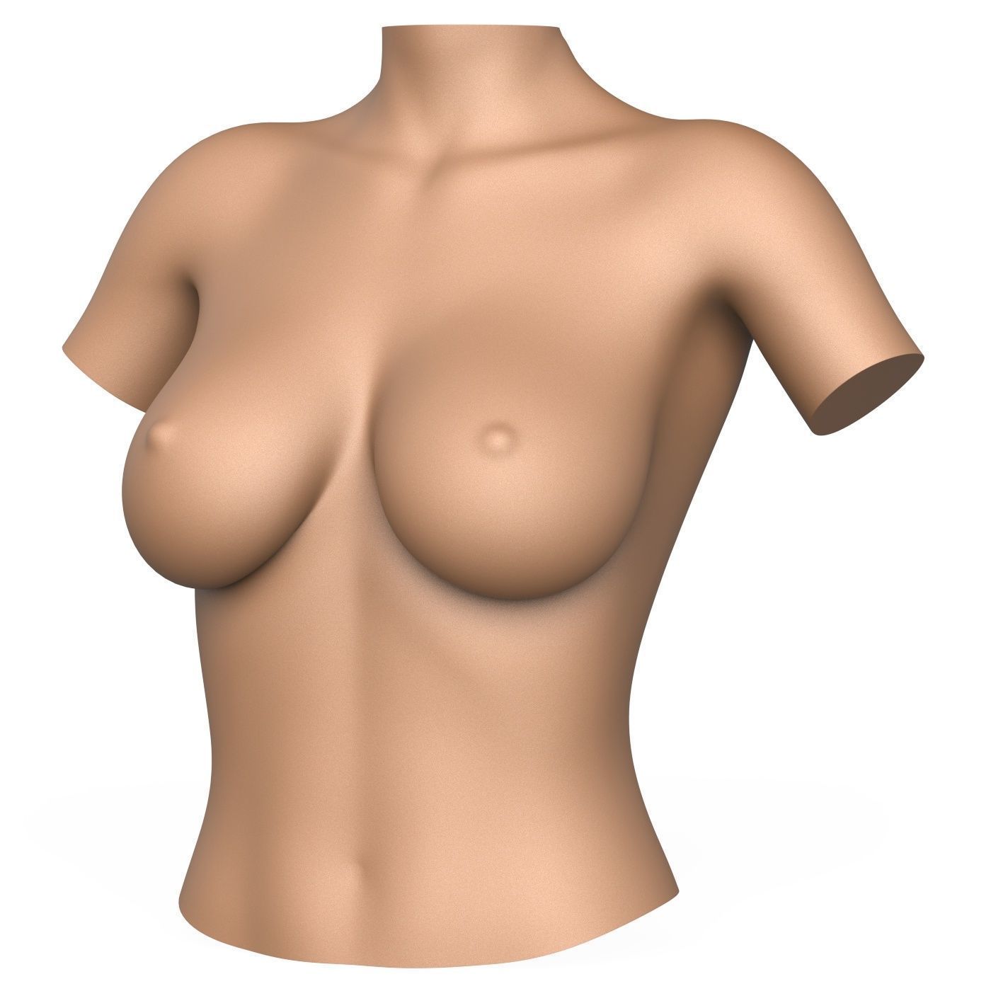 3D Print Ready Woman Breast 3D print model_1
