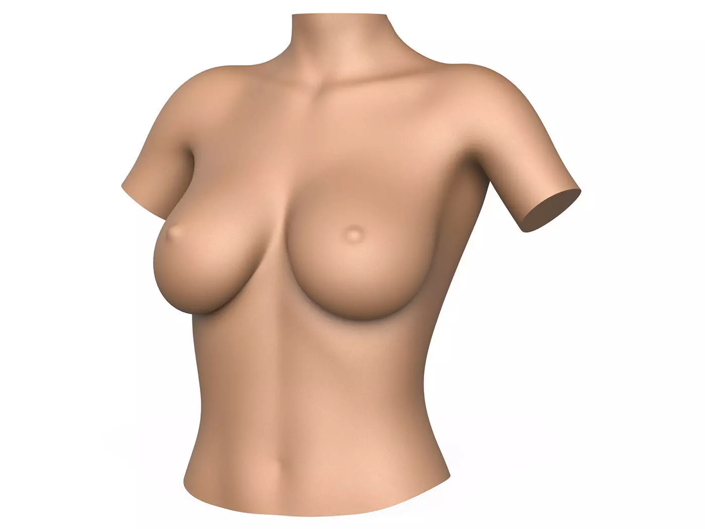 3D Print Ready Woman Breast 3D print model_0