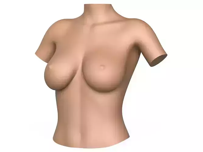 3D Print Ready Woman Breast