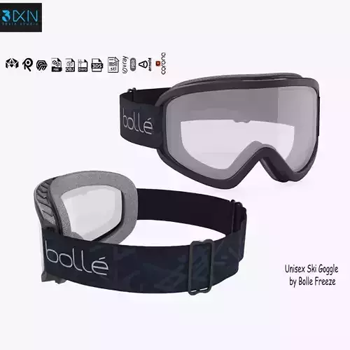 Unisex Ski Goggle by Bolle Freeze 3D model