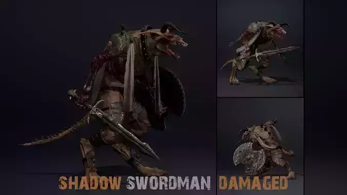 Shadow Swordman Damaged