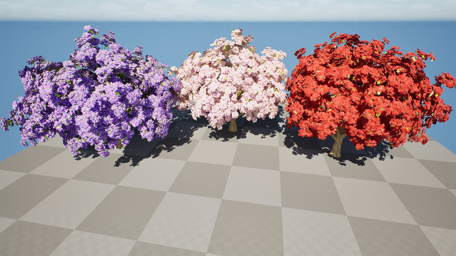 Jacaranda Tree Model Low-poly 3D model_9