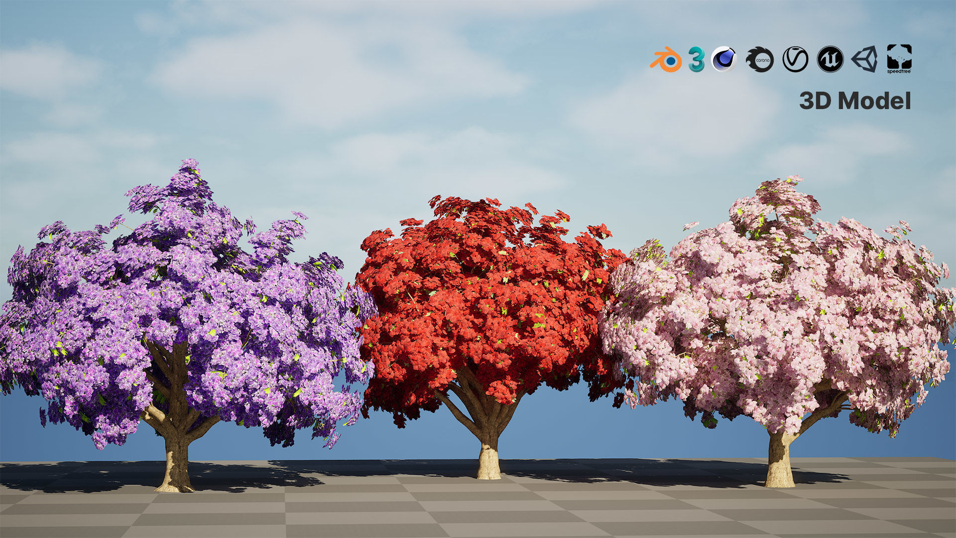 Jacaranda Tree Model Low-poly 3D model_2