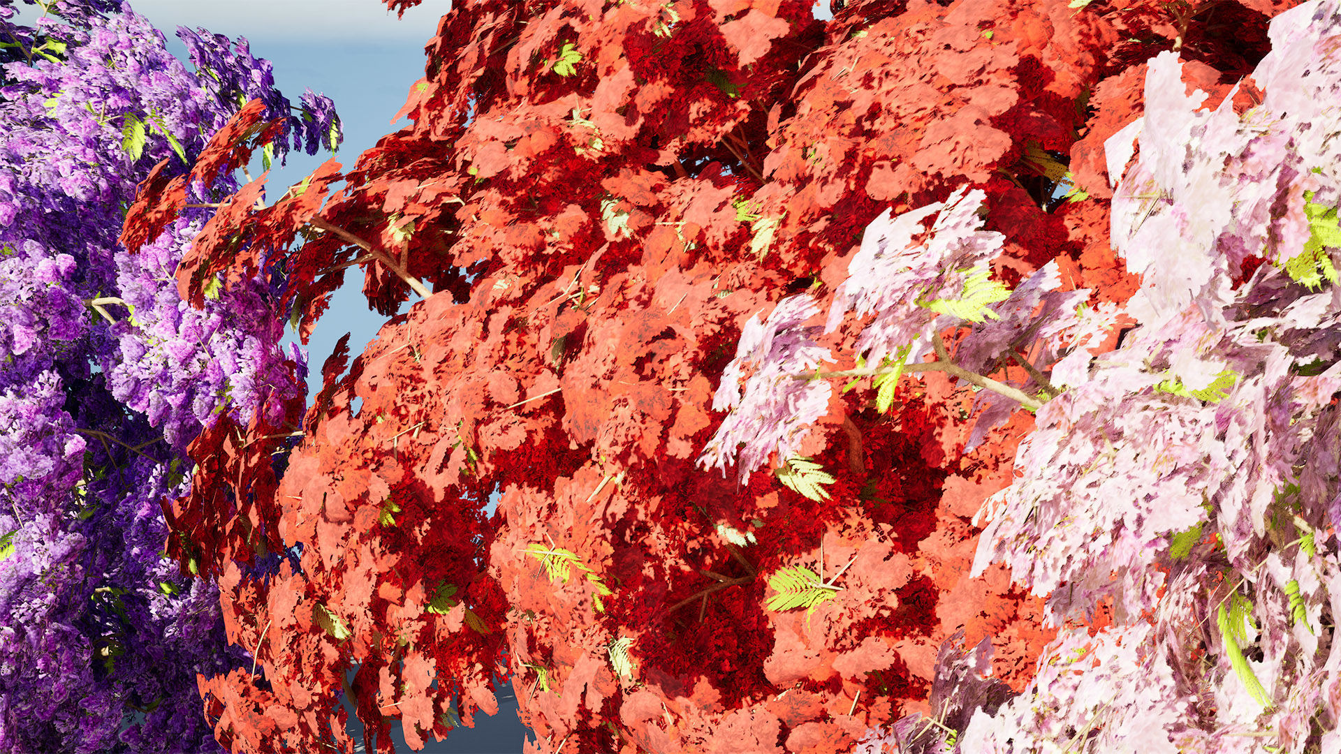 Jacaranda Tree Model Low-poly 3D model_10