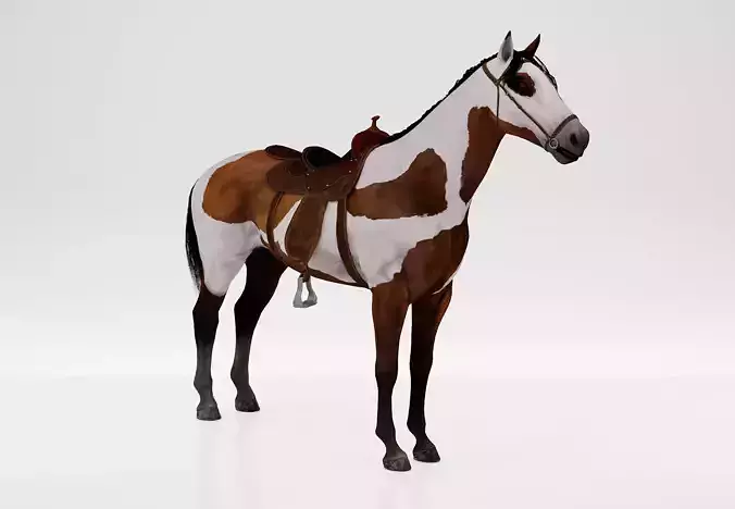 Horse Spanish Mustang  - Stallion Game Ready