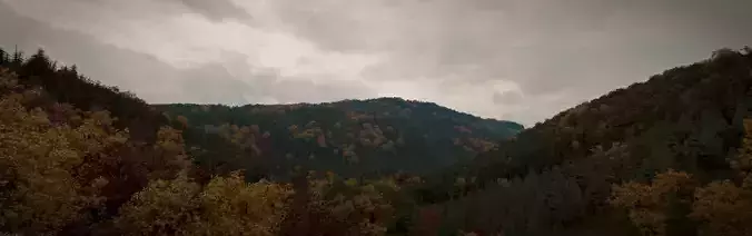 Landscape Forest Hills