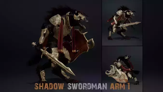 Shadow Swordman Arm1