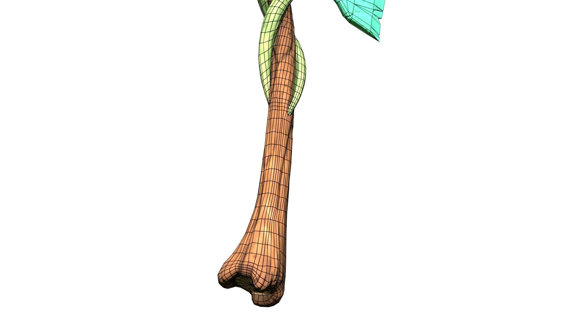 Game-Ready Stylized Fantasy Nature Axe Low-poly 3D model_17