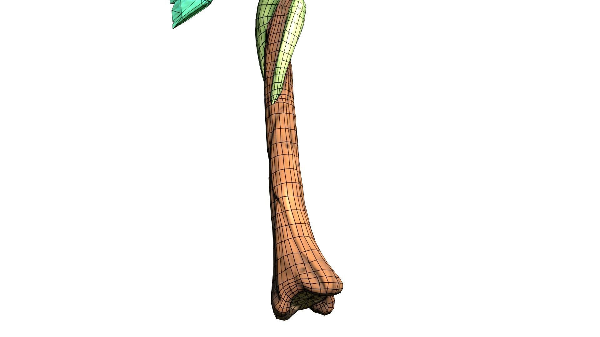 Game-Ready Stylized Fantasy Nature Axe Low-poly 3D model_16