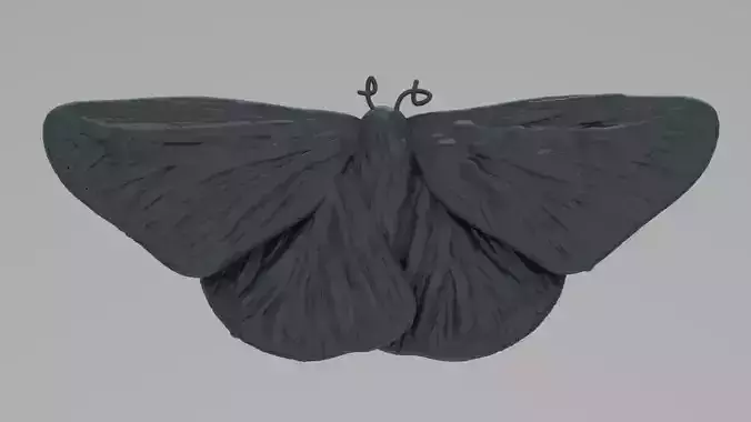 moth brooch and pendant - dual use