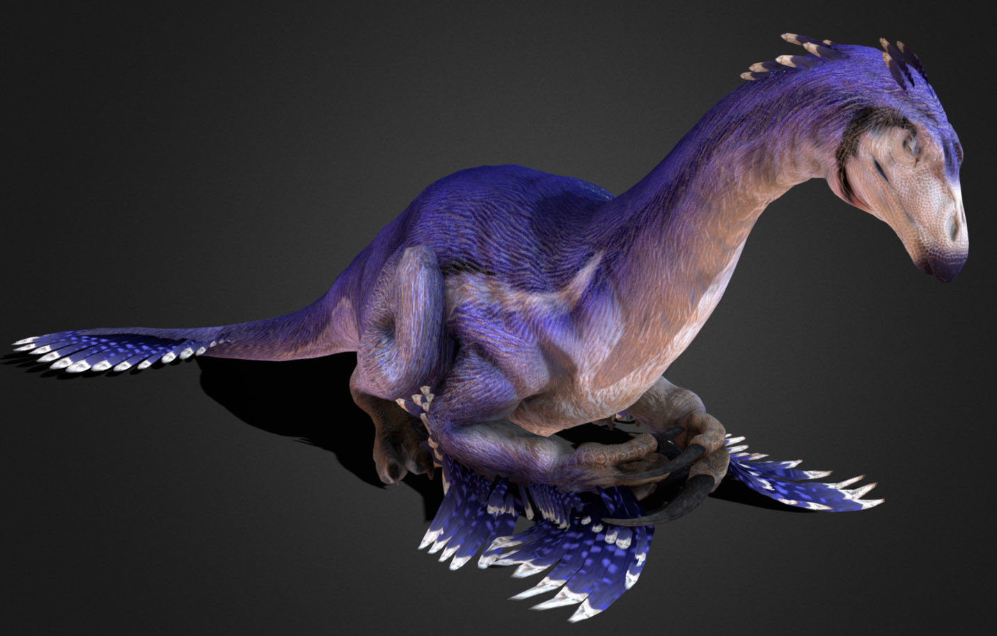 Therizinosaurus Low-poly 3D model_3