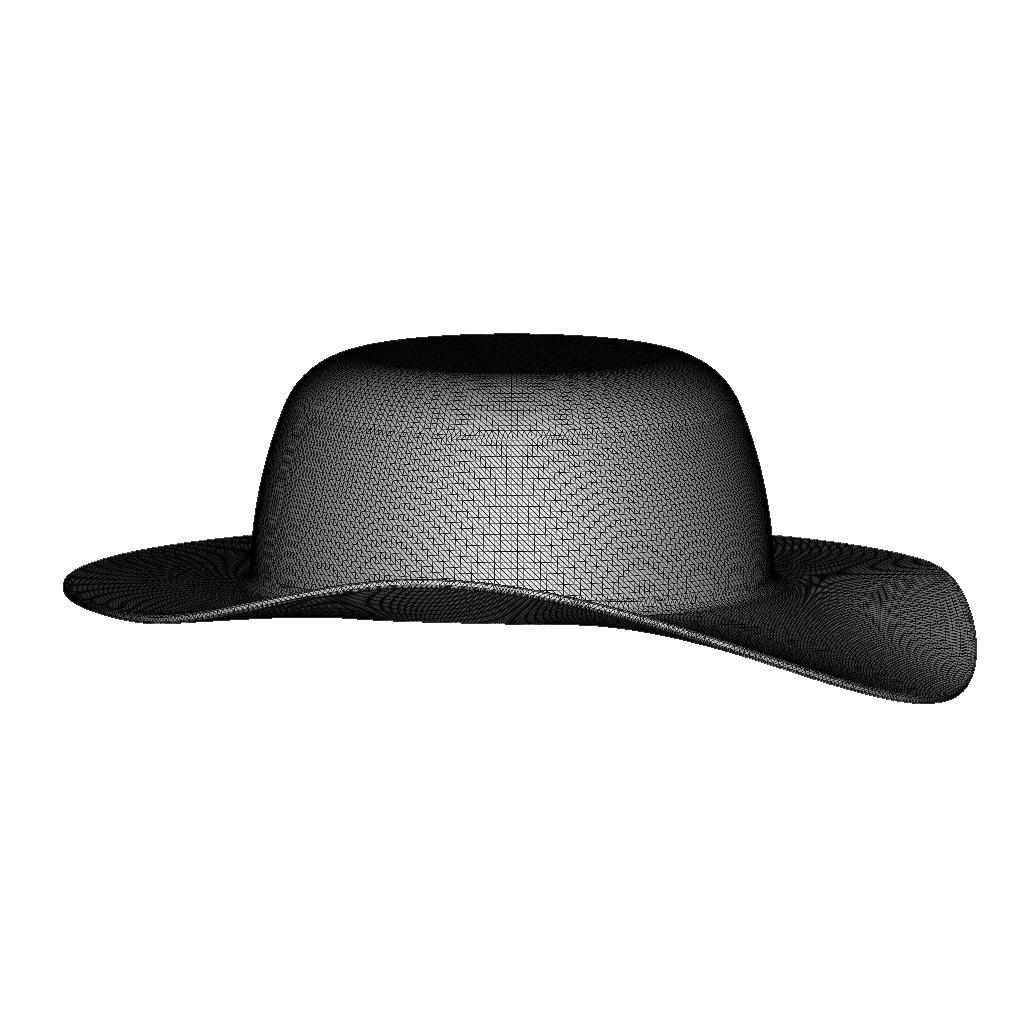 Summer Floppy Hat 3D print model_3