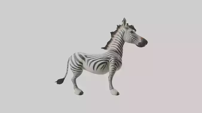 Standing Zebra Model