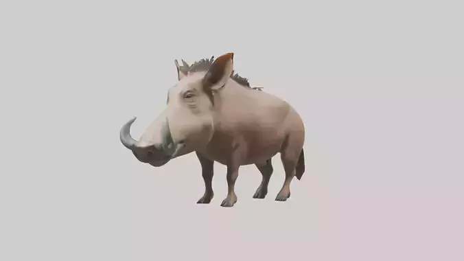 Standing Warthog Model