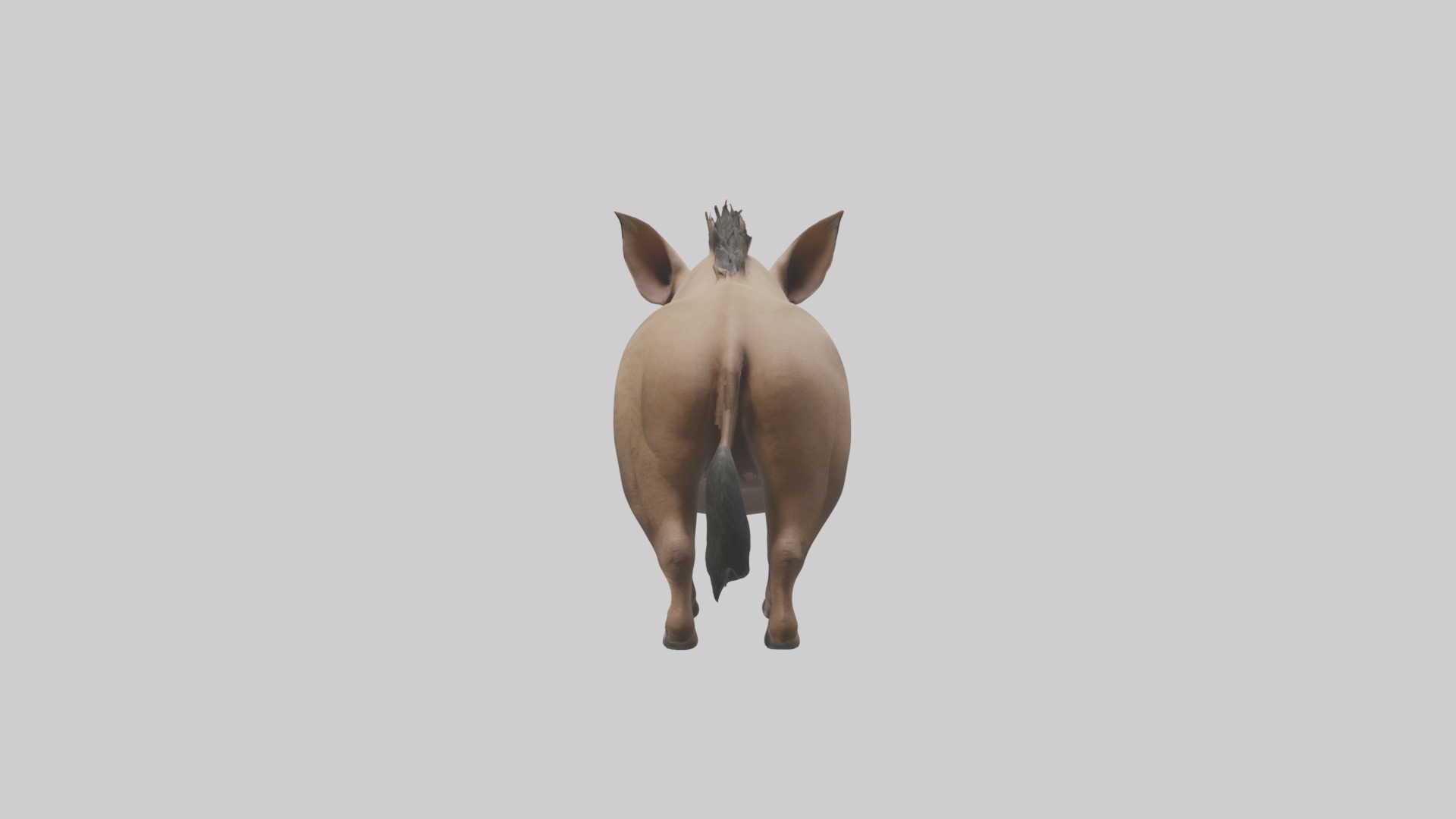 Standing Warthog Model Low-poly 3D model_2