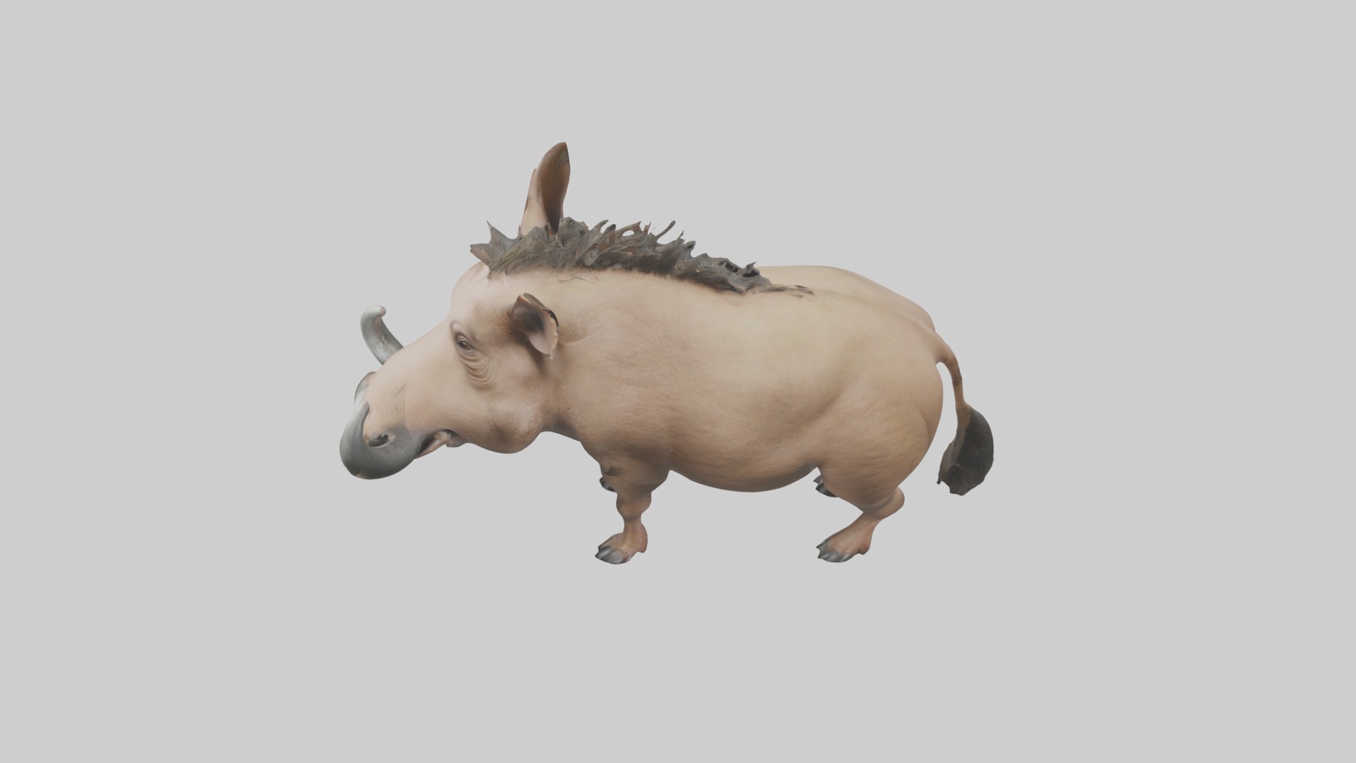 Standing Warthog Model Low-poly 3D model_11