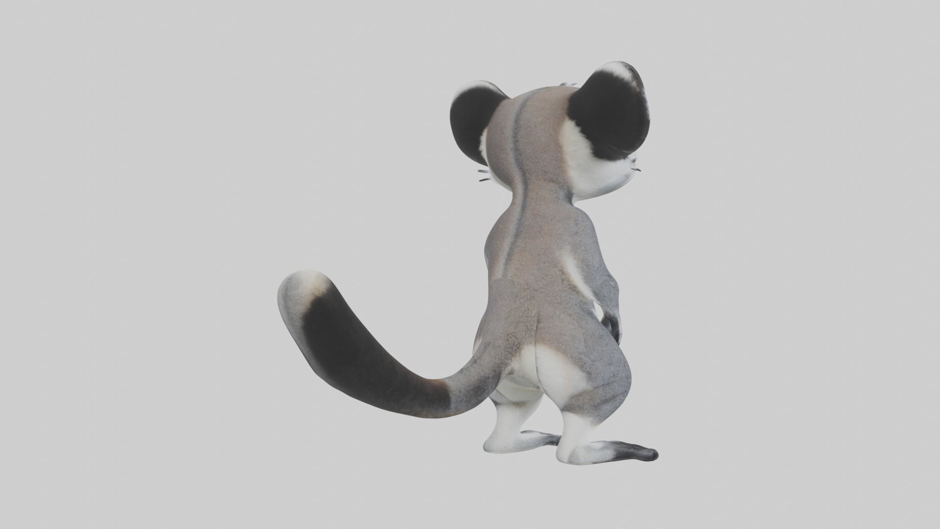 Standing Lemur Model Low-poly 3D model_4