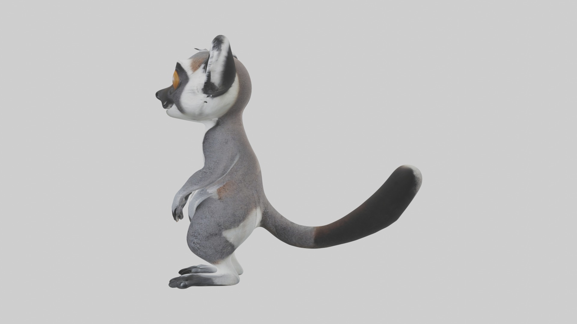 Standing Lemur Model Low-poly 3D model_6