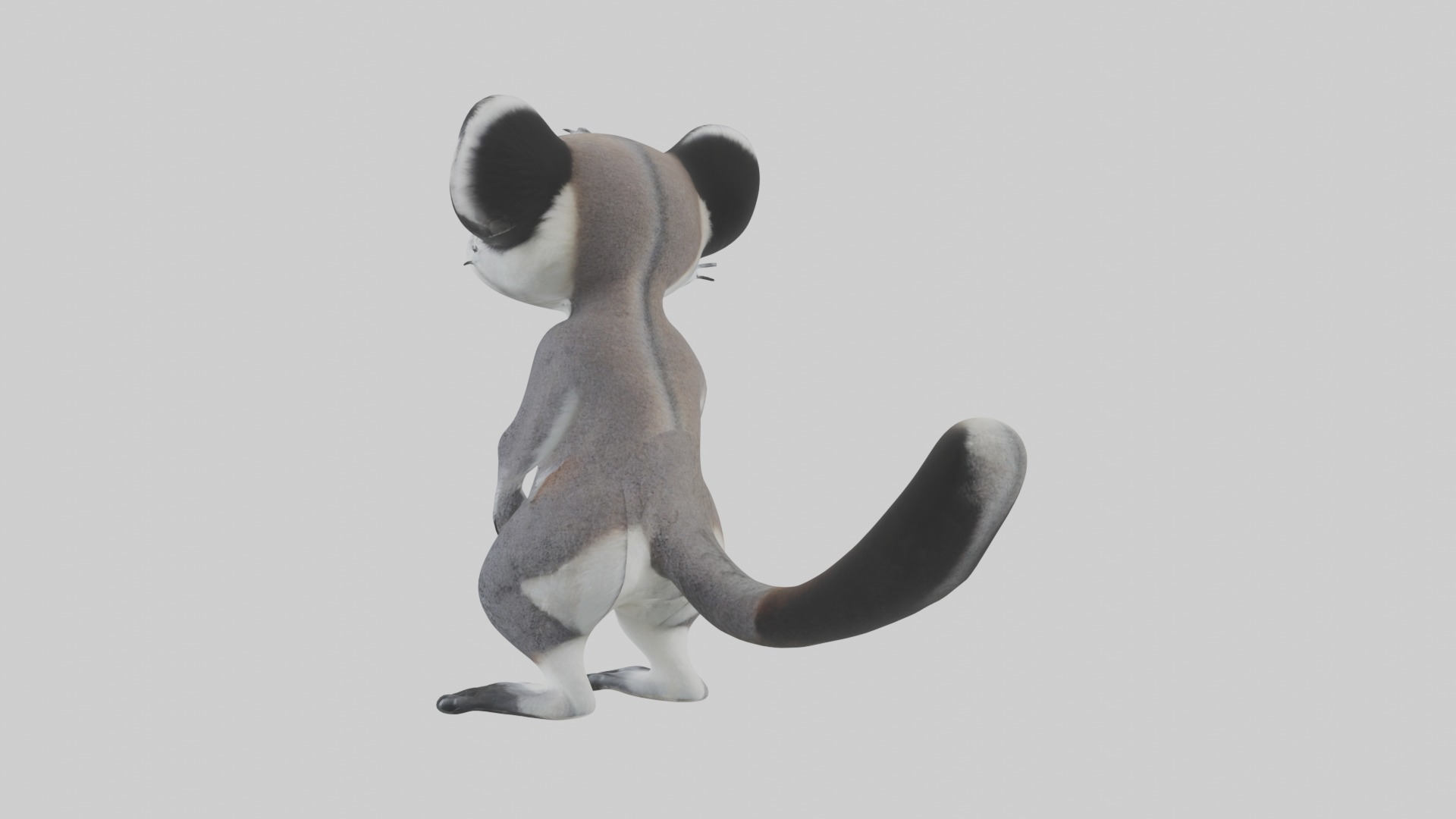 Standing Lemur Model Low-poly 3D model_3