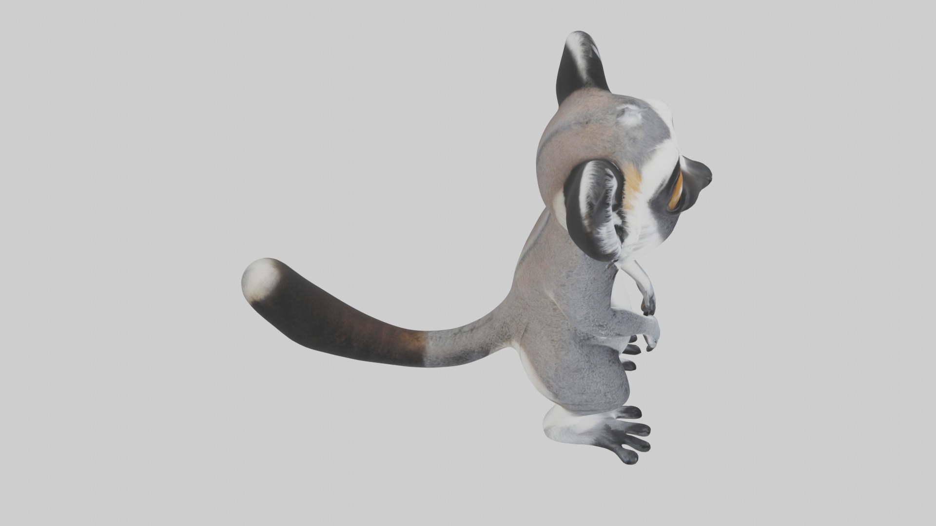 Standing Lemur Model Low-poly 3D model_12