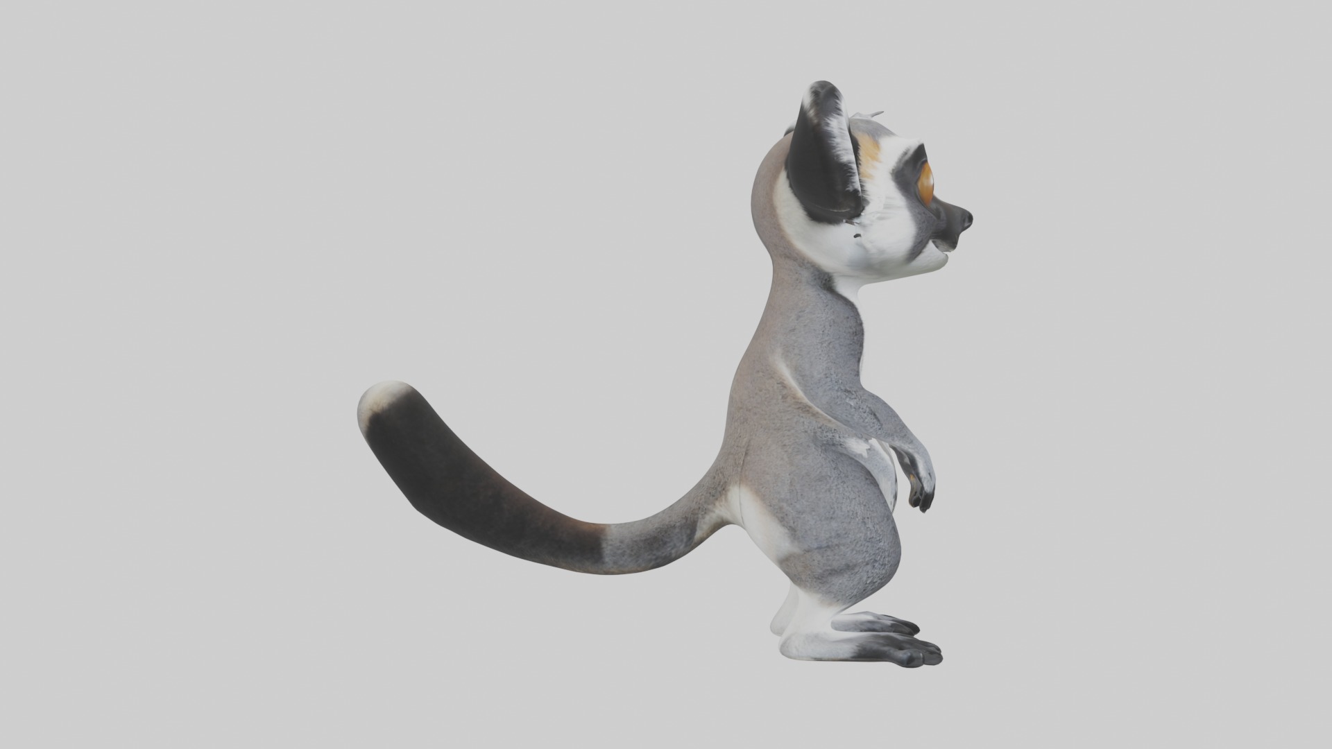 Standing Lemur Model Low-poly 3D model_7