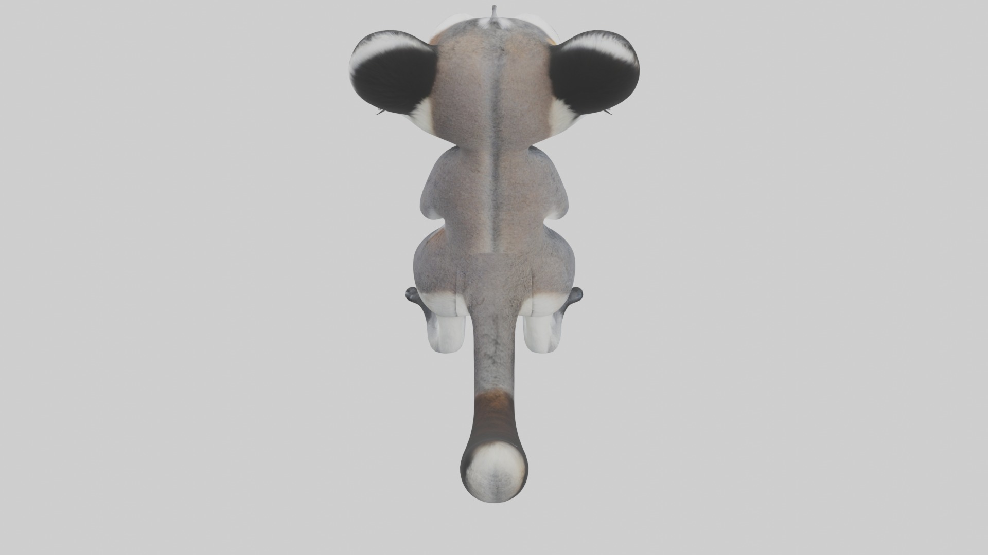 Standing Lemur Model Low-poly 3D model_9