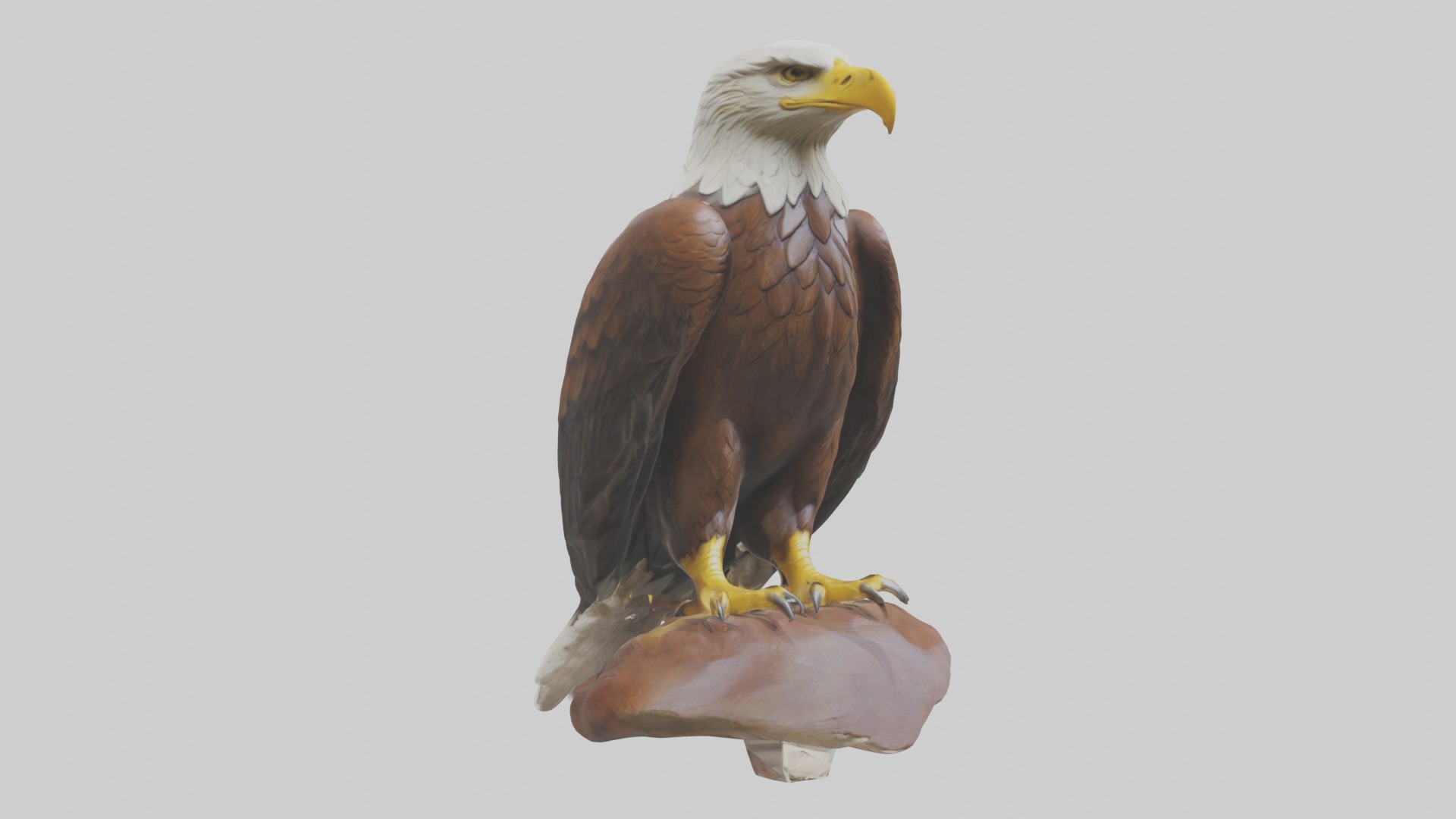 Standing Eagle Model Low-poly 3D model_5
